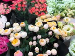 -双季花艺园艺市场(浦东店)