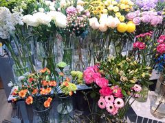 -花未央花店·WEYOUNG