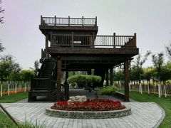 -东丽湖风景区