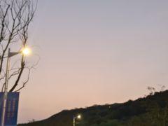 -羊山湖公园