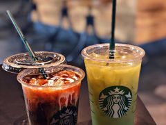 -读宠于你·约克夏比熊·睫角守宫·爬宠售卖(高新店)