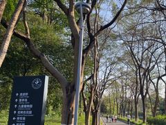 -东莞植物园