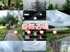 -海珠湖公园