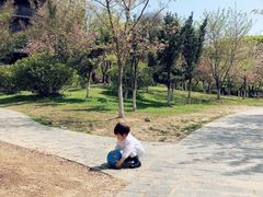 -堤角公园
