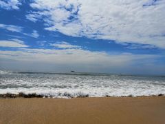 -钱大妈海鲜饭店(保利林语店)