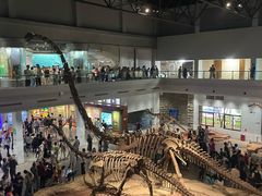 -自贡恐龙博物馆