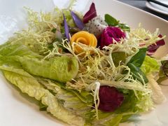 初榨橄榄油大拌菜-北平食府·北京烤鸭(北京西站六里桥店)