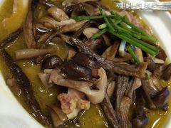 鹿茸菌焖猪肚-饭怕鱼(阳光100店)