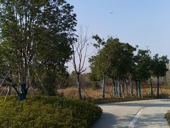 -皇粮浜公园