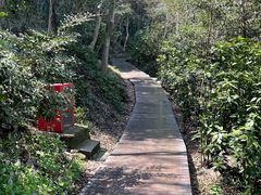 -上海佘山国家森林公园西佘山园