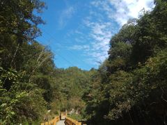 -九龙江国家森林公园