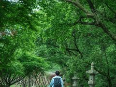 -雁荡山风景名胜区