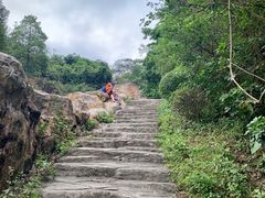 -水濂山森林公园