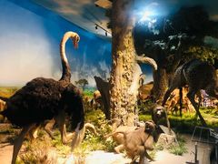 -国家自然博物馆