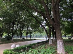 -昆山城市公园