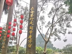 -星湖旅游景区七星岩