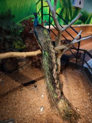 -未来动物城动物主题公园(大悦城店)