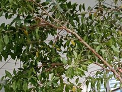 -高密市市民之家