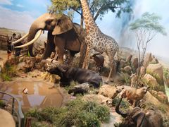 -陕西自然博物馆