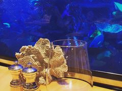 -迪拜帆船酒店海底餐厅