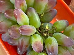 -马陆小张葡萄园农家乐