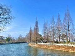 -蜀绣公园