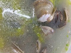 -众味海鲜大排档·活海鲜·潮汕味(南澳店)
