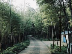 -紫金山山顶公园
