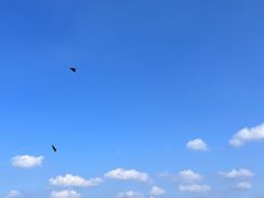 -普陀宗乘之庙(小布达拉宫)