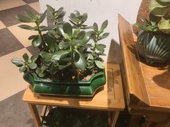 -茶油香闽南菜·花园餐厅(前埔店)