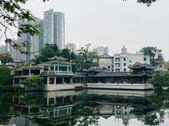 -荔湾湖公园