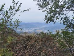 -狮脑山森林公园