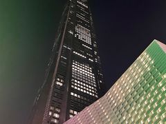-平安金融中心云际观光层