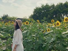 -广东花都香草世界旅游度假区