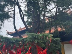 -迎江寺