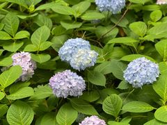 -苏州河梦清园环保主题公园