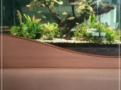 -大家乐(佛山南海店)