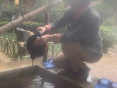 -观唐（国际）度假村温泉