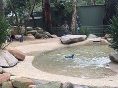 -费瑟代尔野生动物园