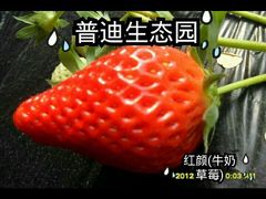 -普迪生态园