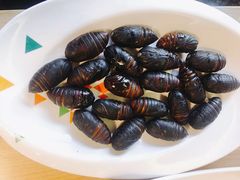 -千纸鹤嫩汁烤肉(西大直街店)