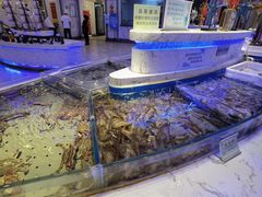 -澜悦港海鲜体验主题餐厅