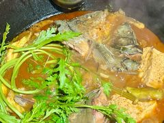 -肥鱼屯活鱼锅(惠工街店)