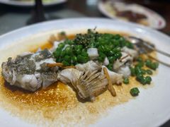 -猪肉婆私房菜(容桂总店)