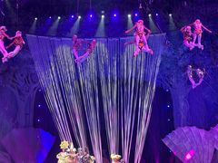 -广州长隆国际大马戏