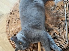 -Me Coffee下午茶艺术空间