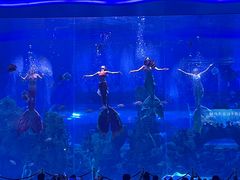 -石家庄极地海洋世界