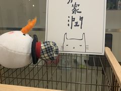 -iF摄影•全家福•证件照•形象照(南山店)