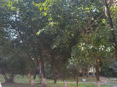 -黑龙江省森林植物园