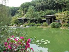 景点-云溪植物园